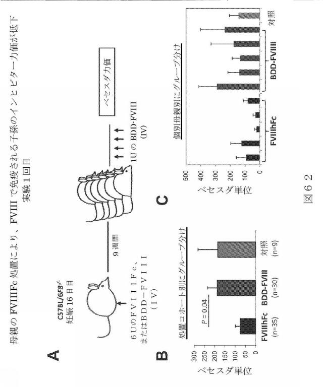 2015504898-第ＶＩＩＩ因子療法を受けている個体における第ＶＩＩＩ因子に対する免疫原性を低下させる方法 図000089