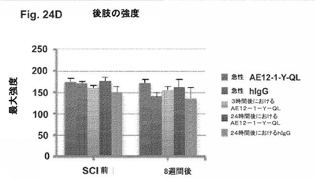 2019517480-脊髄損傷及び疼痛を処置するための抗ＲＧＭａ（Ｒｅｐｕｌｓｉｖｅ  Ｇｕｉｄａｎｃｅ  Ｍｏｌｅｃｕｌｅ  Ａ）アンタゴニスト抗体 図000089