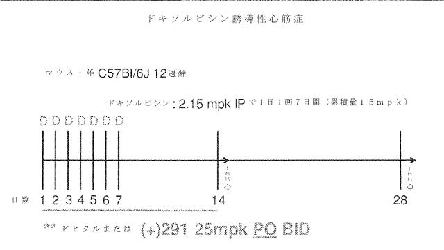2020516617-冠状動脈障害を治療するための短鎖型デヒドロゲナーゼ活性の阻害剤 図000089