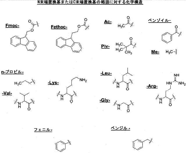 2020528899-チロシナーゼアンチセンスオリゴヌクレオチド 図000089