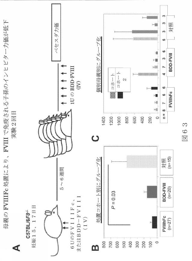 2015504898-第ＶＩＩＩ因子療法を受けている個体における第ＶＩＩＩ因子に対する免疫原性を低下させる方法 図000090