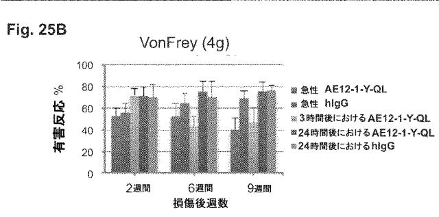 2019517480-脊髄損傷及び疼痛を処置するための抗ＲＧＭａ（Ｒｅｐｕｌｓｉｖｅ  Ｇｕｉｄａｎｃｅ  Ｍｏｌｅｃｕｌｅ  Ａ）アンタゴニスト抗体 図000091