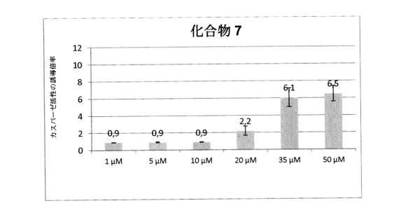 2019531294-抗癌剤としてのベンゾイミダゾール誘導体 図000091