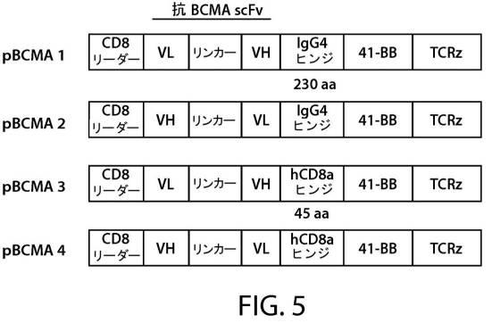 2017527271-ヒト化抗ＢＣＭＡキメラ抗原受容体を使用した癌の処置 図000092