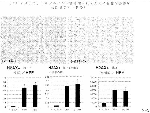 2020516617-冠状動脈障害を治療するための短鎖型デヒドロゲナーゼ活性の阻害剤 図000093