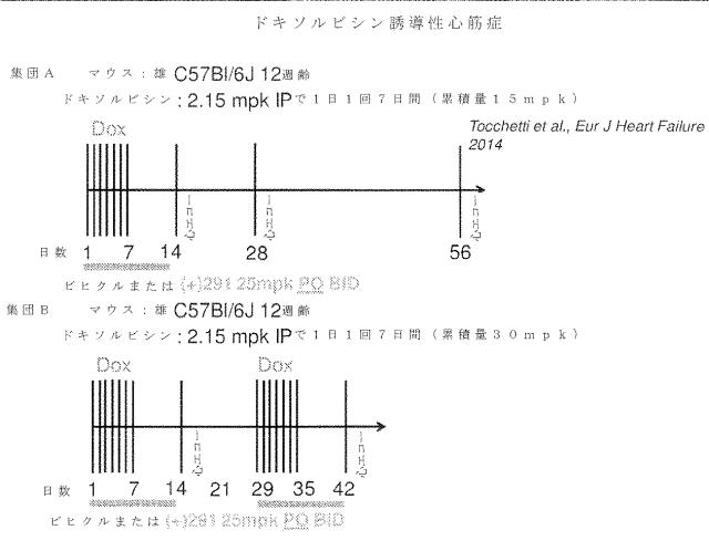 2020516617-冠状動脈障害を治療するための短鎖型デヒドロゲナーゼ活性の阻害剤 図000094
