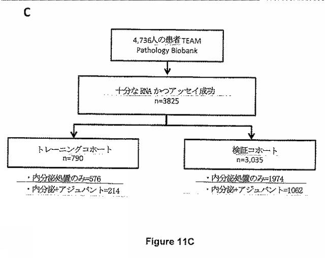 2019508016-早期乳癌における内分泌処置後の残留リスクの遺伝子シグネチャー 図000095