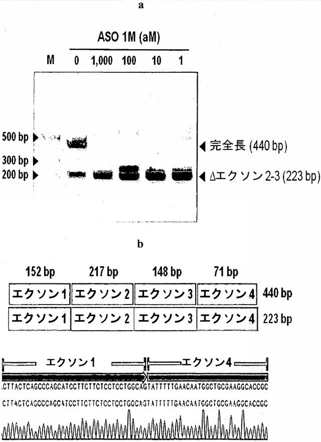 2020528899-チロシナーゼアンチセンスオリゴヌクレオチド 図000096