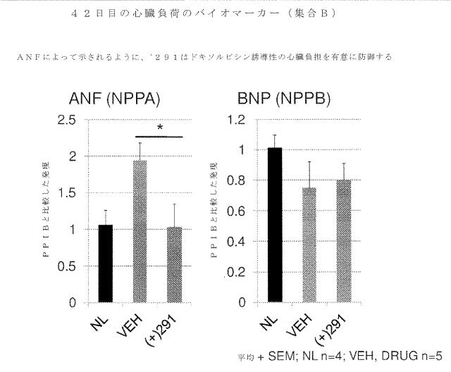 2020516617-冠状動脈障害を治療するための短鎖型デヒドロゲナーゼ活性の阻害剤 図000097