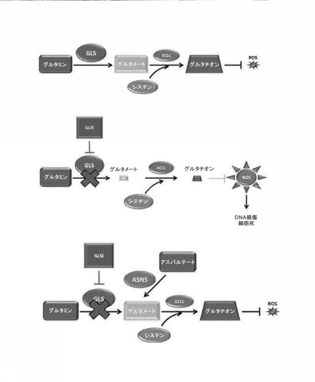 2021500335-グルタミナーゼ阻害薬療法 図000098