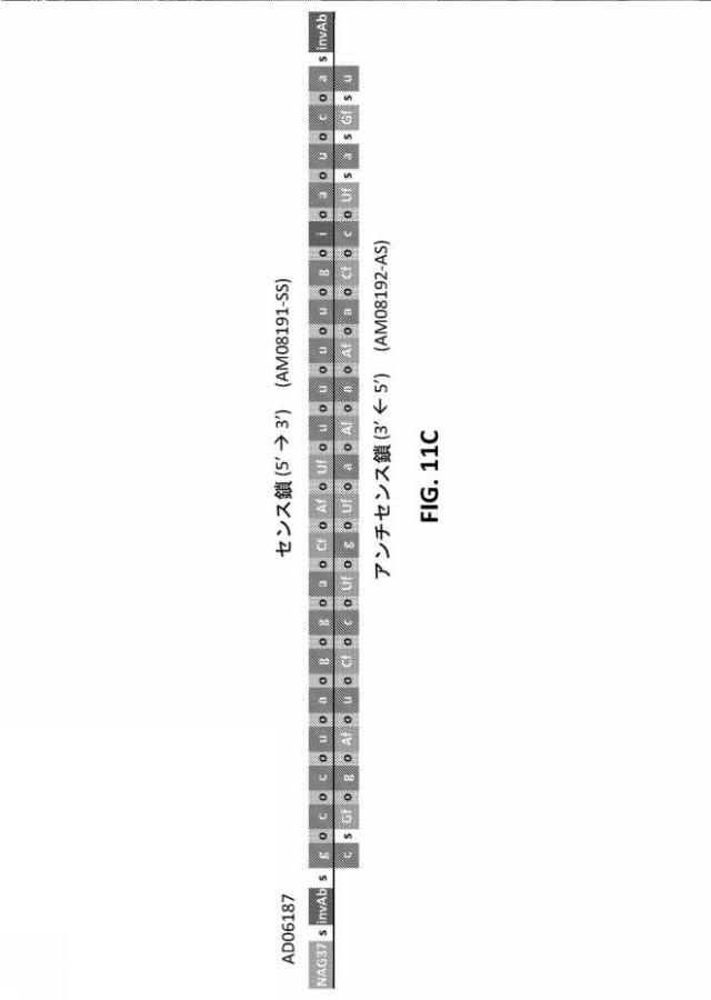 2022501040-１７β−ＨＳＤ１３型（ＨＳＤ１７Ｂ１３）の発現を阻害するためのＲＮＡｉ剤、その組成物、および使用方法 図000099