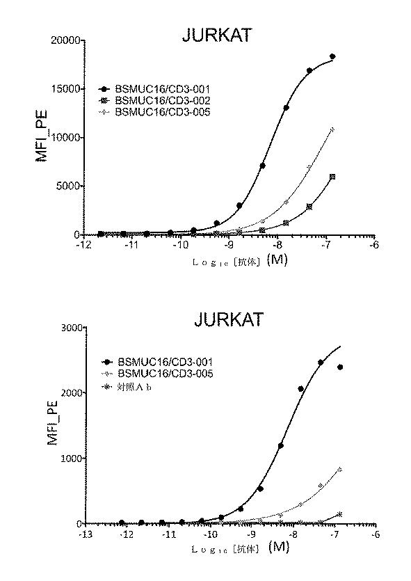 2019536740-二重特異性抗ＭＵＣ１６−ＣＤ３抗体および抗ＭＵＣ１６薬物複合体 図000108