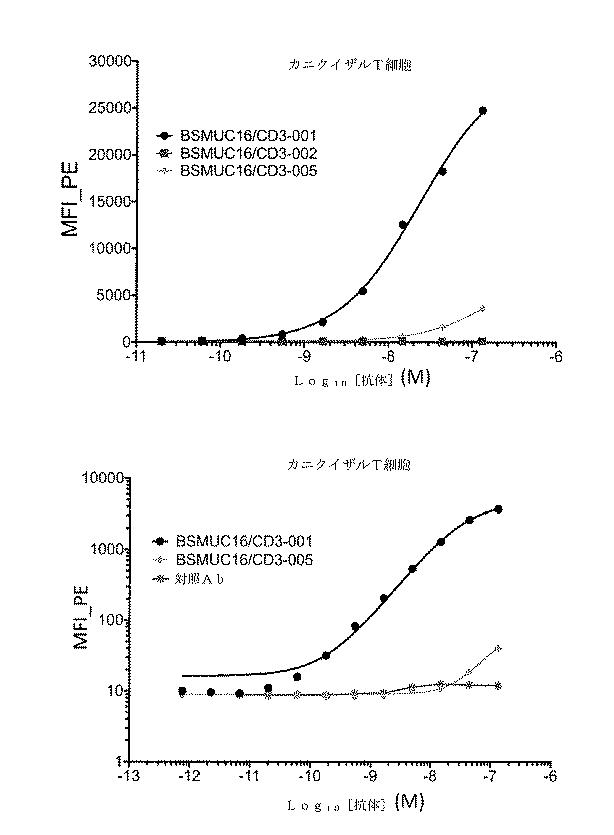 2019536740-二重特異性抗ＭＵＣ１６−ＣＤ３抗体および抗ＭＵＣ１６薬物複合体 図000109