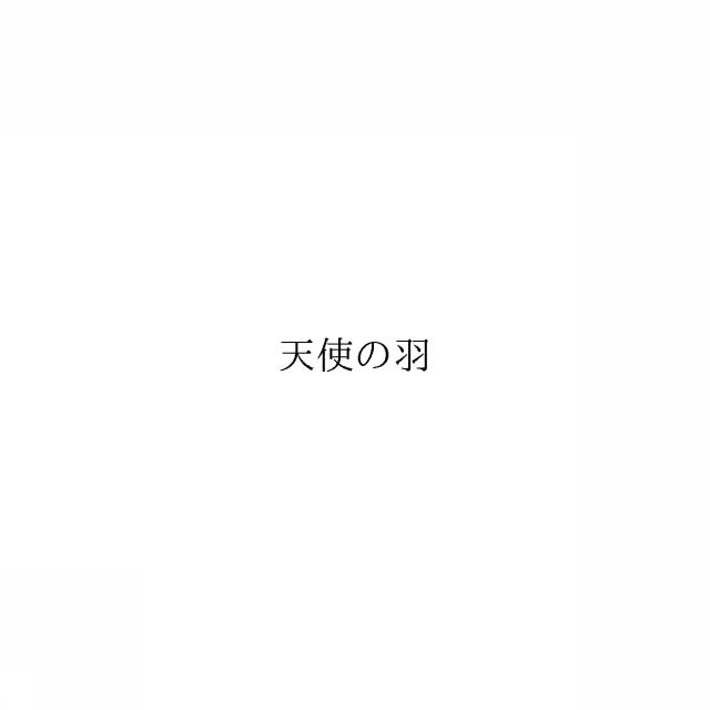 商標登録6304613