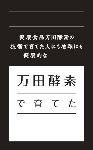 商標登録6587010