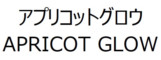 商標登録6587848