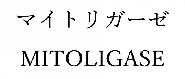 商標登録6588243