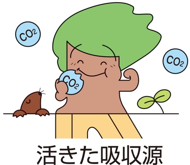 商標登録6495217
