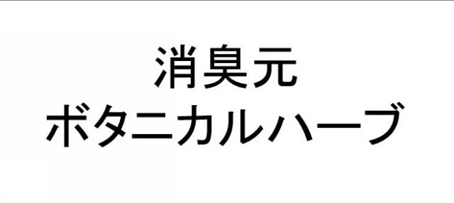 商標登録6313949