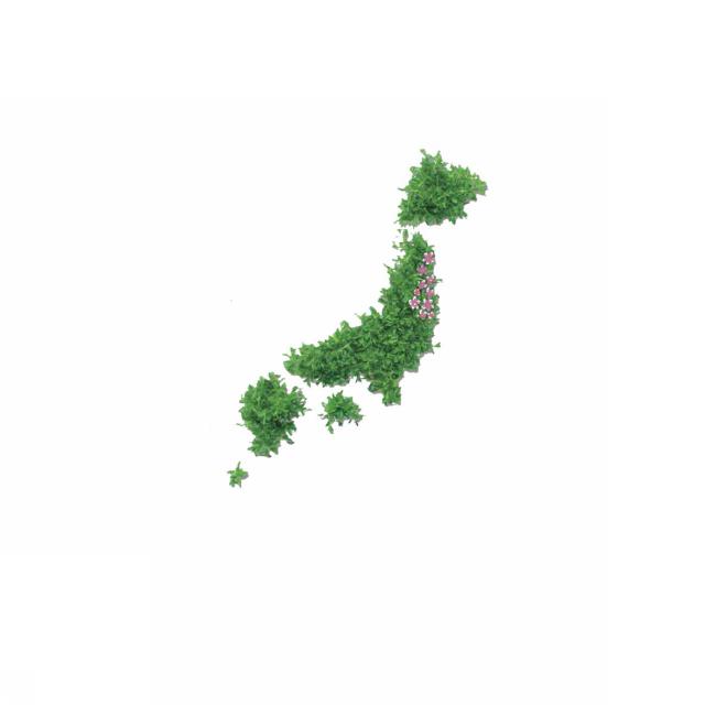 商標登録5473398
