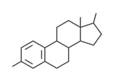 商標登録6336677