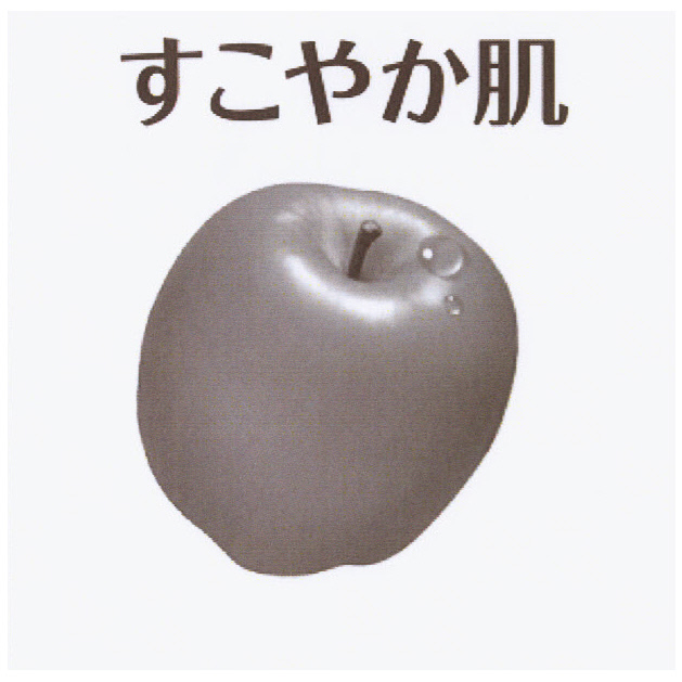 商標登録6667680