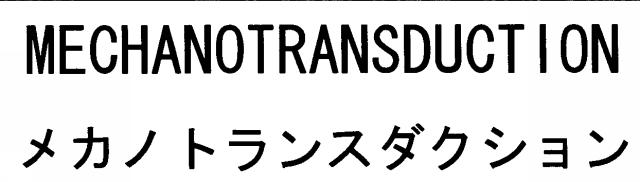 商標登録5561311