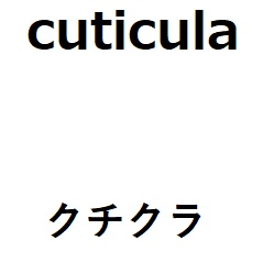 商標登録6606693