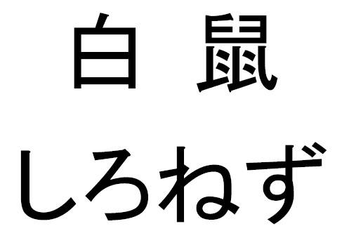 商標登録6610432