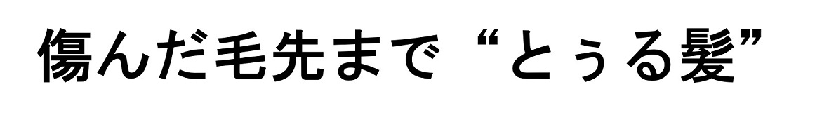 商標登録6612513