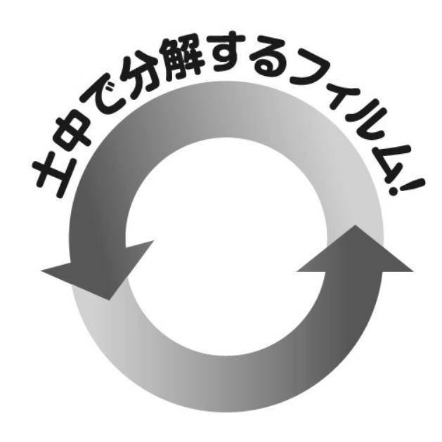 商標登録6454895