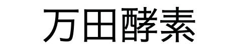 商標登録6614928