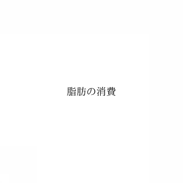 商標登録6668884