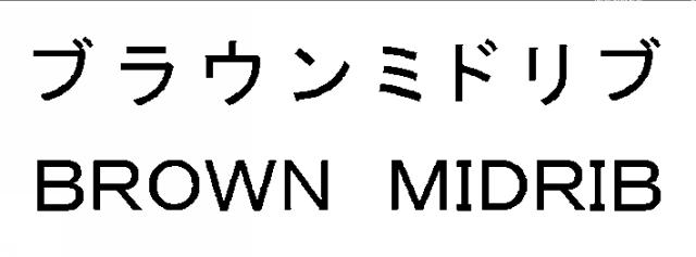 商標登録6616432