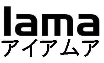 商標登録5304934