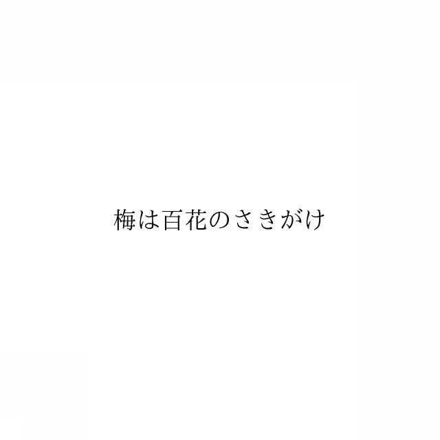 商標登録6461743
