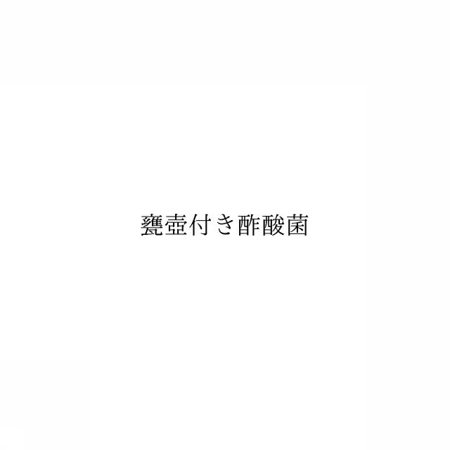 商標登録6464164