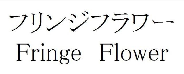 商標登録5748940