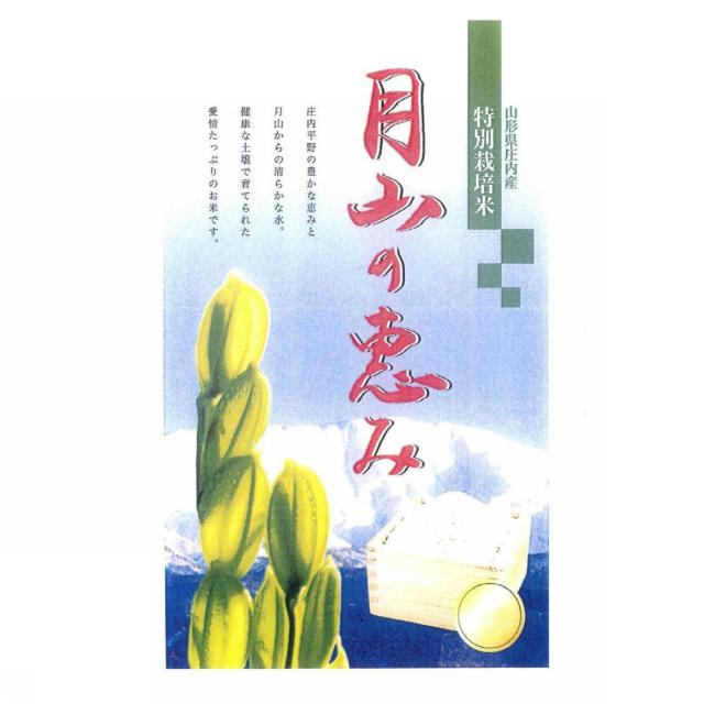 商標登録5397995