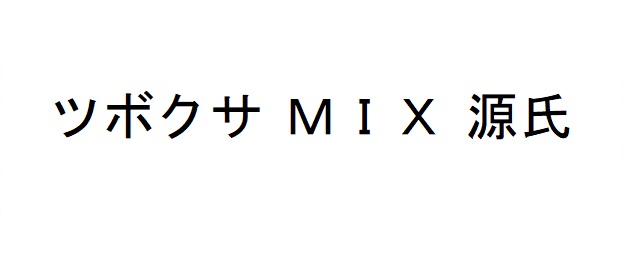 商標登録6640588