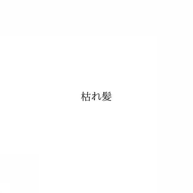 商標登録6482837