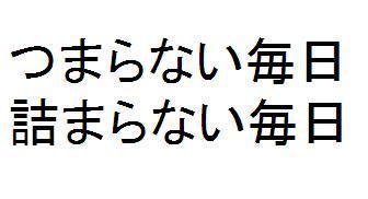 商標登録5662393