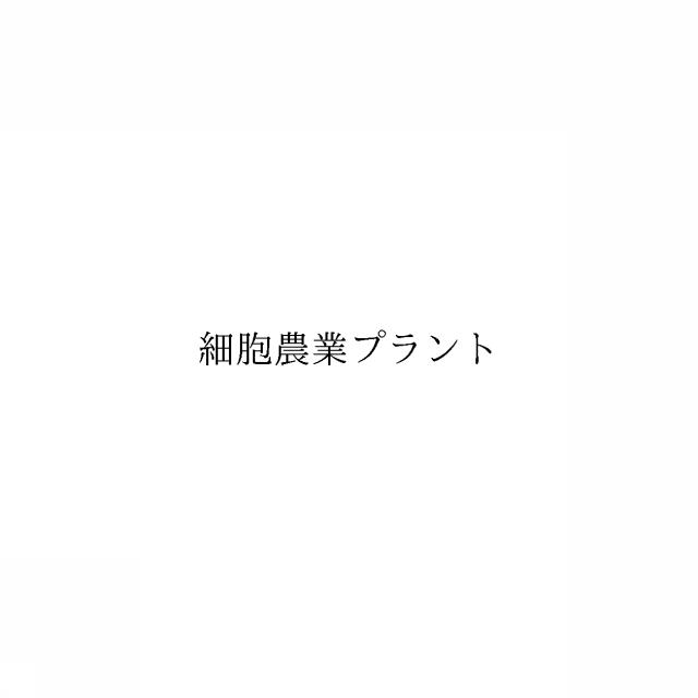 商標登録6500774