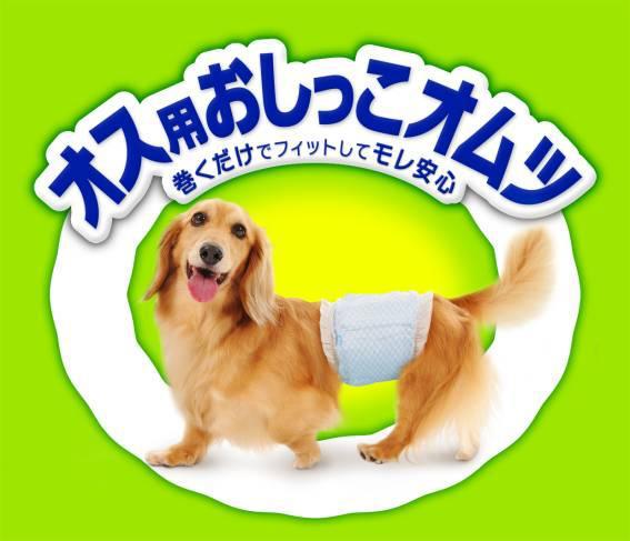 商標登録5482610