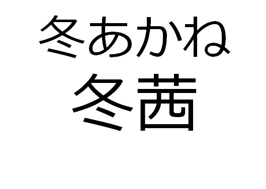 商標登録6646789