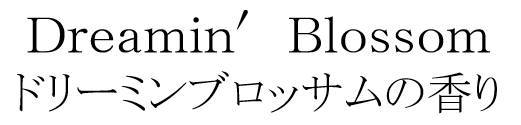 商標登録6651250