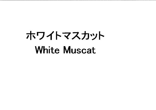 商標登録5903979