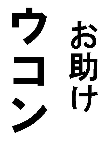 商標登録5313045