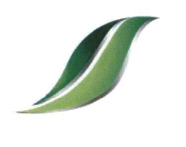 商標登録5667906