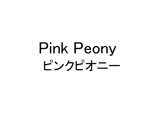 商標登録5488004